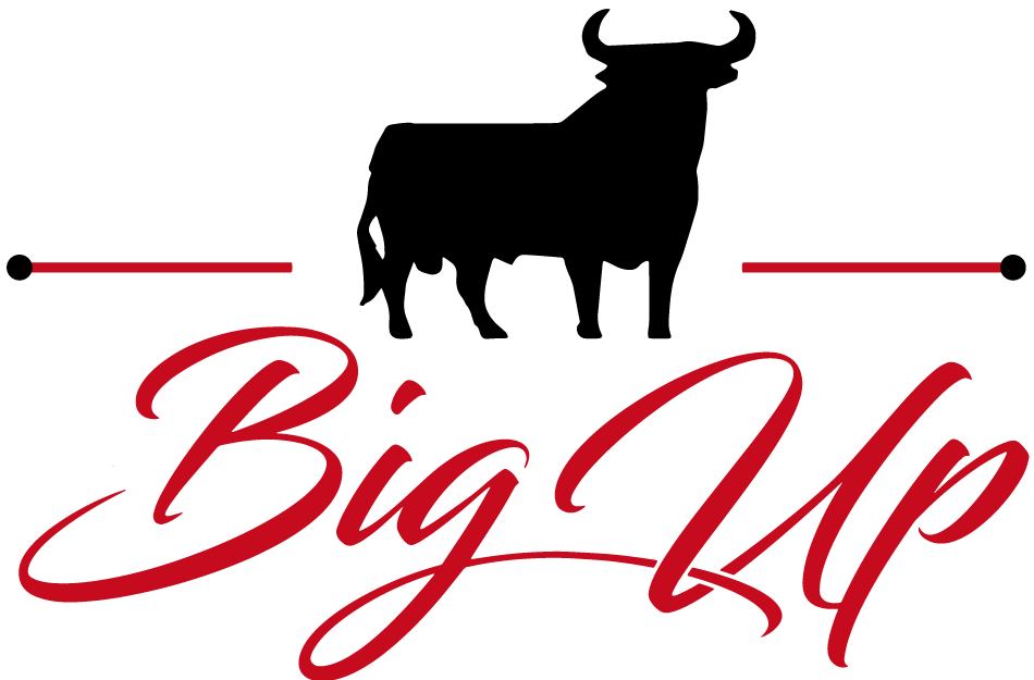 Bigup Center Selectividad